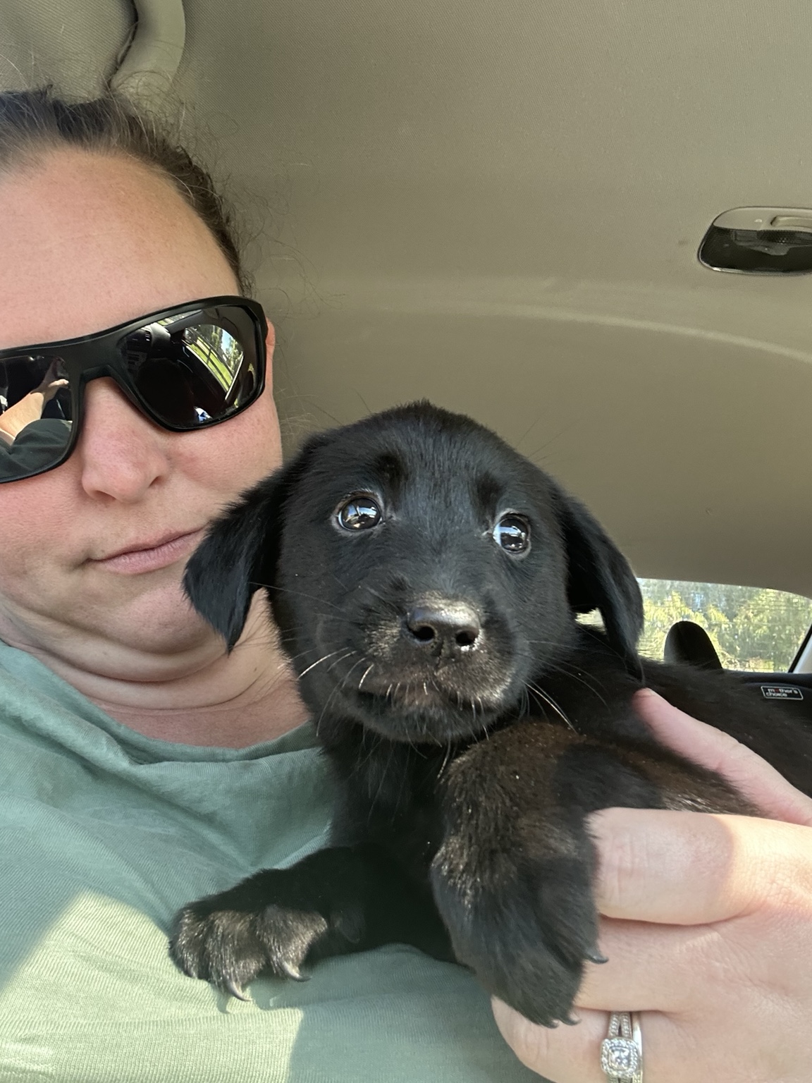 Rachel holding Freya, a small black puppy, in a car